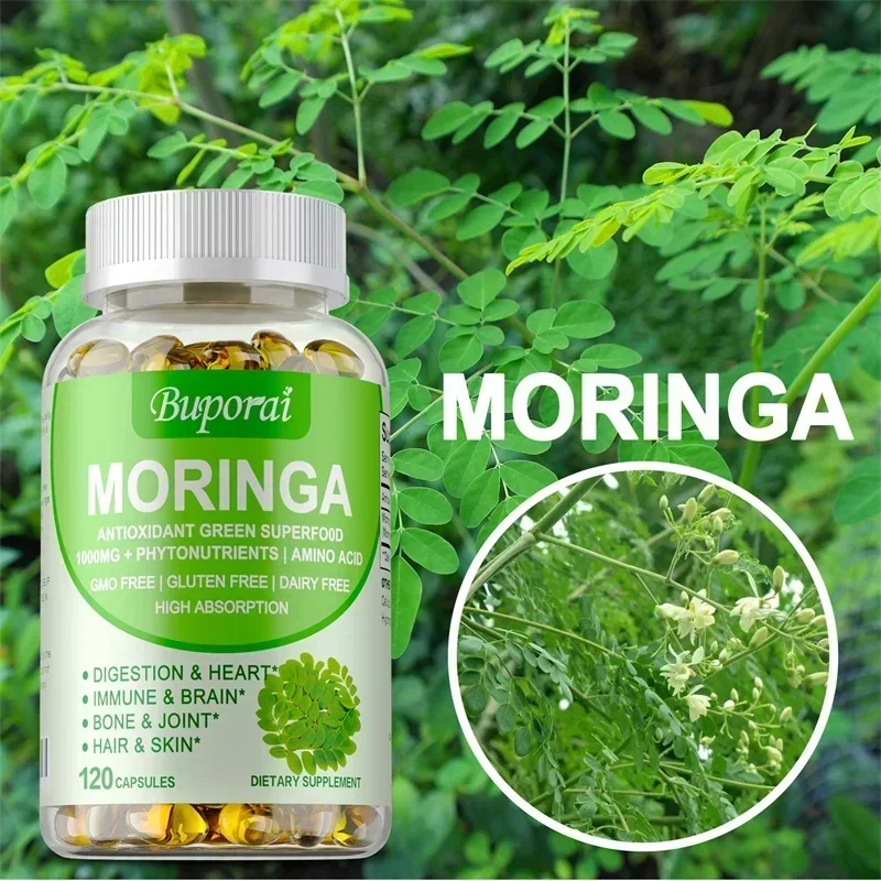 Moringa-Kapseln – steigert den – Moringa Leaf Powder Bewertung und Preis