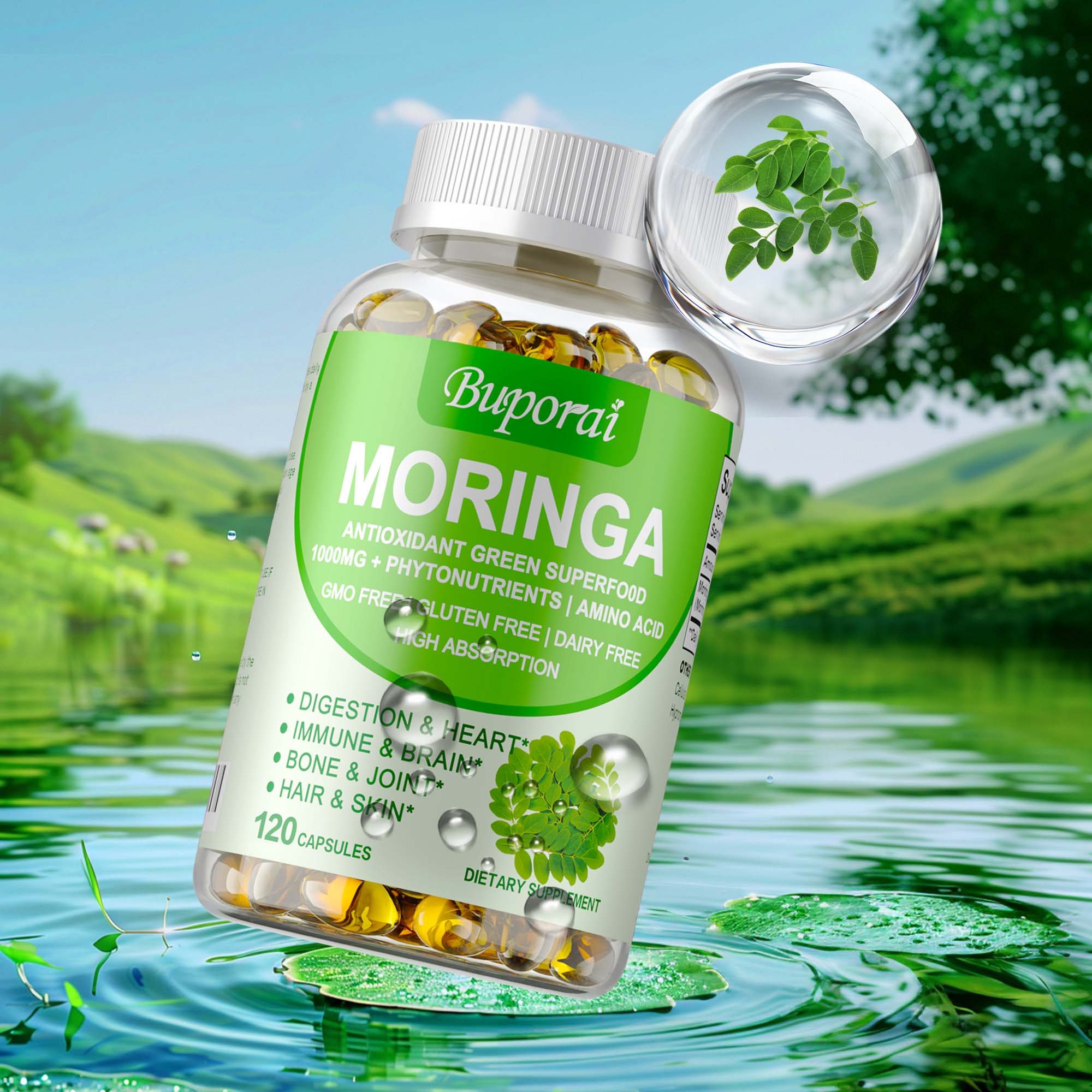 Moringa-Kapseln 1000 mg – Unte – Moringa Leaf Powder Bewertung und Preis