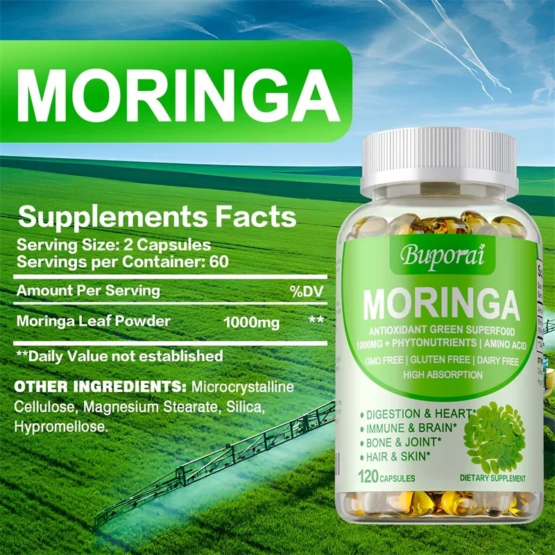Moringa-Kapseln 1000 mg – Unte – Moringa Leaf Powder Bewertung und Preis